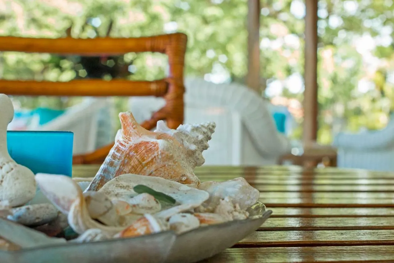 Villa Amazing Ocean Views With Many Extras Perks To Enjoy à Cabarete